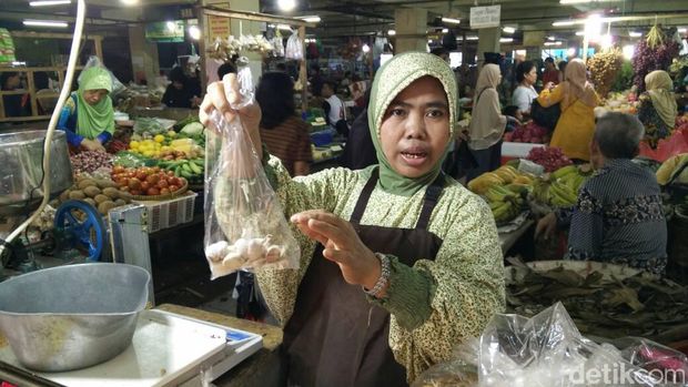 Bawang Putih 