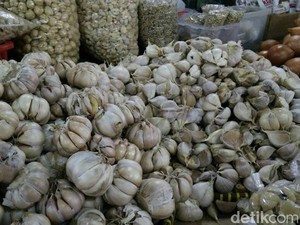 Pakai Teknologi Ini, Produksi Bawang Putih Bisa Meningkat
