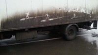 Orang-orang berselancar di truk. Foto: ProBoyNick