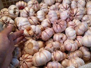 Curhat Pedagang, Harga Bawang Putih Naik Tak Terbendung