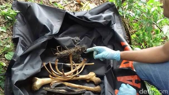 Penemuan Kerangka Manusia Gegerkan Warga Aceh Tamiang
