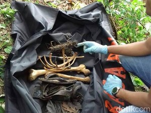 Penemuan Kerangka Manusia Gegerkan Warga Aceh Tamiang
