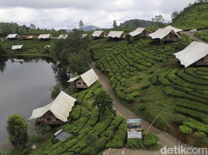 7 Wisata Alam Jabar Buat One Day Trip dari Jakarta, Yuk Berangkat!