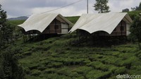 Tenda berwarna putih itu  dibuat semi permanen dan dapat dibongkar pasang dengan bahan double waterproof disangga dengan kontruksi tiang besi yang berdiri di tepi Situ Patenggang dan dikelilingi oleh hamparan perkebunan teh (Wisma/detikTravel)