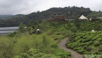 Untuk membangun sebuah phinisi berukuran jumbo ini, dibutuhkan kayu Merbau yang didatangkan langsung dari Papua, sekitar 20 kubikmeter dan dirancang desainer interior Marcelinus Feri, dengan mengonsep Glamping Lake Side secara keseluruhan (Wisma/detikTravel)