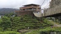 Bukan cuma punya pemandangan, Phinisi Resto memiliki jembatan gantung sebagai pintu masuk ke dalam kapal. Siapa yang tak tergoda untuk berfoto (Wisma/detikTravel)