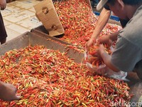 Pedasnya Harga Cabai Rawit di Awal Tahun