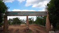 Selain destinasi wisata alam, Merauke juga punya objek wisata buatan bernama Lotus Garden. Wujudnya berupa kolam, gazebo dan jalur trekking (Afif/detikcom)