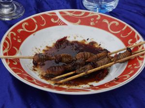 Ekstrem! Nyobain Sensasi Makan Sate Ulat Sagu