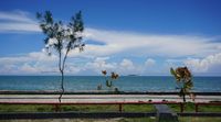 Pemandangan Pantai Pohon Cinta (Wahyu/detikTravel)