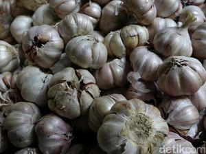 Importir Bawang Putih akan Diwajibkan Gandeng Petani