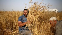 Sembilan tahun lalu, Louy al-Najar kehilangan kedua kakinya akibat rudal Israel yang meledak saat ia menyelamatkan tetangganya yang terluka selama perang Gaza antara militan Palestina dan Israel. REUTERS/Ibraheem Abu Mustafa.