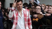 Salah satu personel One Direction, Harry Styles mengakui bahwa dirinya memiliki puting susu lebih dari dua. Harry memiliki empat buah puting susu, dua di antaranya terletak di bawah puting normalnya. Foto: Getty Images