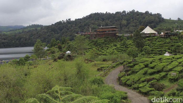 Sayang Bumi! Liburan Sambil Ramai-ramai Menanam Pohon di Bandung