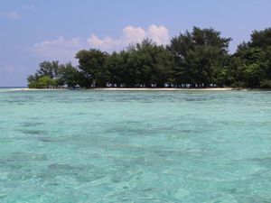 Sedih, Terumbu Karang di Karimunjawa Rusak Akibat Kapal Tongkang