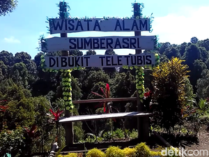Yuk, Ikut Bersantai dan Berswafoto di Bukit Teletubis Blitar