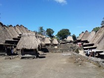 10 Desa Adat di Flores NTT, Keindahan Alam dan Kekayaan Budaya yang Memesona