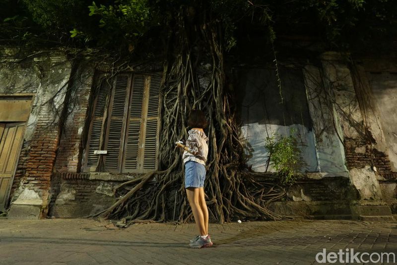 Rumah akar Semarang Rumah akar Semarang