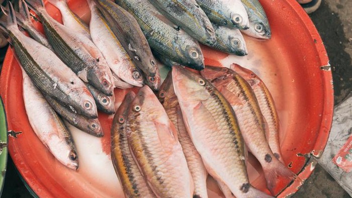 Foto: iStock Foto: iStock