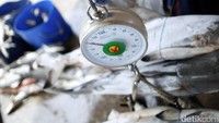 Persoalan ekonomi juga menjadi pendorong terhadap peburuan hiu di Indonesia maupun dunia. Di Indonesia misalnya, harga sirip hiu di pasar dalam negeri mampu menembus Rp 1,3 juta per kg.