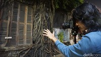 Begitu melihat rumah akar ini, traveler pasti akan langsung mengangkat lensa dan mengabadikannya. Instagenic banget (Bonauli/detikTravel)