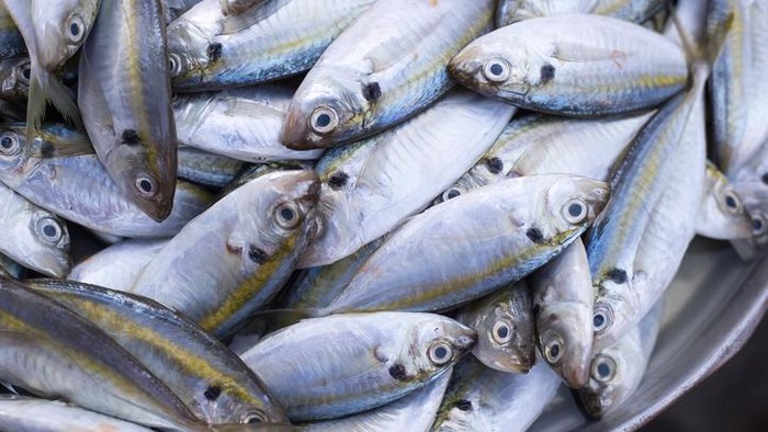 5 Ikan yang Sebaiknya Dihindari Pengidap Diabetes, Ini Daftarnya