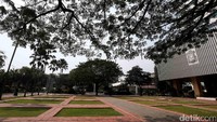 Halaman Balai Kota DKI telah bersih dari aneka karangan bunga yang dikirim oleh pendukung Basuki Thajaha Purnama (Ahok) dan Djarot Saiful Hidayat.