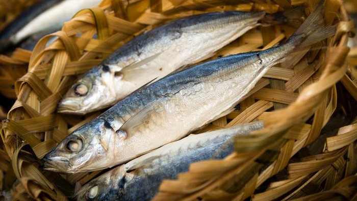 Fresh mackerel at a local fish market in Ho Chi Minh City, Vietnam.