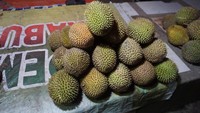 Berburu durian bisa jadi satu aktivitas yang dilakukan traveler bila liburan ke Kabupaten Pohuwato, Gorontalo. Waktu yang tepat tentu saja saat malam hari tiba (Wahyu/detikTravel)