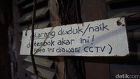 Papan peringatan untuk tidak duduk atau naik ke akar pohon pun diletakkan di depan jendela. Karena kawasan ini diawasi oleh CCTV (Bonauli/detikTravel)