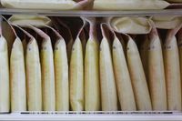 Benarkah ASI Punya Senyawa yang Bisa Cegah Pertumbuhan Kanker?