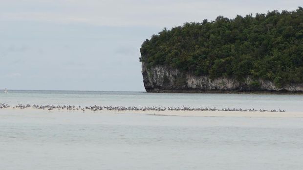Pasir Timbul Raja Ampat