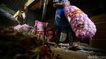 Harga Bawang Putih Terus Merangkak Naik