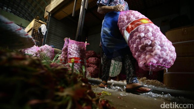 DKI Jakarta Impor 10.000 Ton Bawang Putih dari China