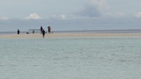 Pasir Timbul terletak di area Barat Laut Pulau Waigeo. Menurut guide setempat, Husein Kelderak (39), masyarakat yang datang ke lokasi ini hanya lewat saja, selain itu mereka akan datang saat akan mancing di pinggir-pinggirnya (Masaul/detikTravel)