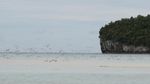 Pasir Timbul Raja Ampat yang Membawa Berkah