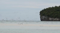 Pasir Timbul berubah menjadi berkah tersendiri ketika wisatawan menyukainya. Hal itu terjadi pada tahun 2007, saat wisatawan menjadikannya destinasi pamungkas seusai keliling Raja Ampat (Masaul/detikTravel)