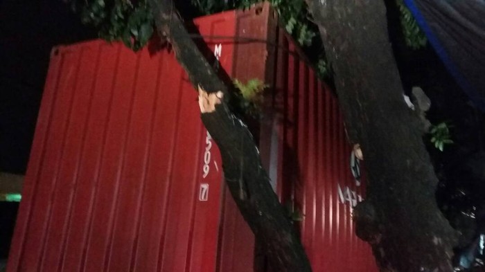 Truk Kontainer Nyangkut di Pohon, Lalin di Ciracas Sempat Macet