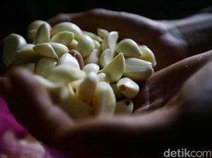 Tak Lama Lagi Puasa, Bawang Putih di Kudus Tembus Rp 54.000/Kg