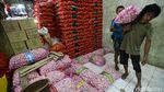 Harga Bawang Putih Terus Merangkak Naik
