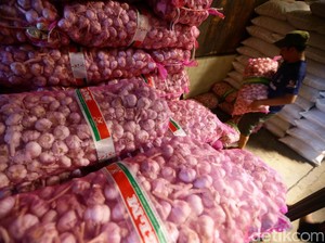 Kurangi Impor, Mentan Siapkan 2.600 Ha Lahan Bawang Putih