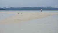 Pasir Timbul ini terletak di Pulau Kri, Kabupaten Raja Ampat. Sekitar 10 tahun yang lalu, destinasi wisata ini hanya dipandang sebelah mata karena hanya berupa pasir yang muncul ke permukaan air laut saja (Masaul/detikTravel)