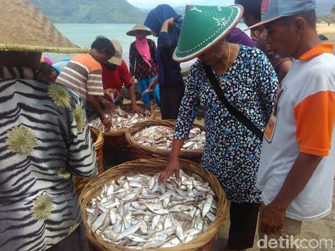 Oase di Tengah Paceklik Ikan Bagi Nelayan Trenggalek