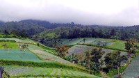 Pemandangan dari atas ketinggian Candi Cetho juga keren banget. Lanskap alam pedesaan dengan sawah yang masih asri jadi suguhan tersendiri. Asyik banget! (Wahyu/detikTravel)