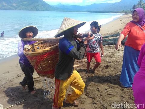 Oase di Tengah Paceklik Ikan Bagi Nelayan Trenggalek