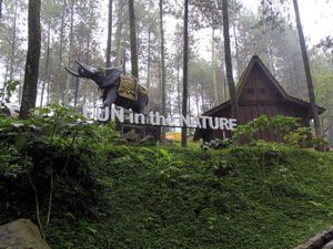 Dear Warga Jabodetabek, Ini 7 Hutan Pinus Buat Healing di Bandung