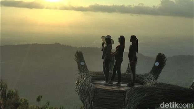Sunset di Tangan Raksasa, Pinus Pengger (Usman Hadi/detikTravel)