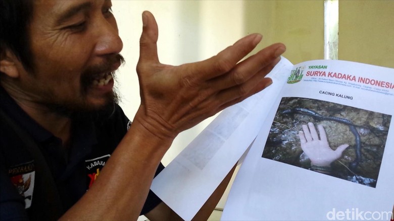 Hari Bumi, Penggiat Lingkungan Soroti Kerusakan Hutan Pangrango Hari Bumi, Penggiat Lingkungan Soroti Kerusakan Hutan Pangrango