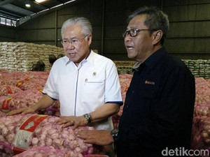 Punya Stok 62 Ton Bawang Putih, Bulog Yakin Bisa Turunkan Harga
