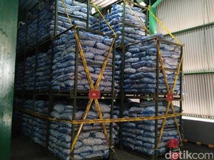 Diduga Timbun Bawang Putih Selundupan, PT TPI: Kami Punya Dokumen
